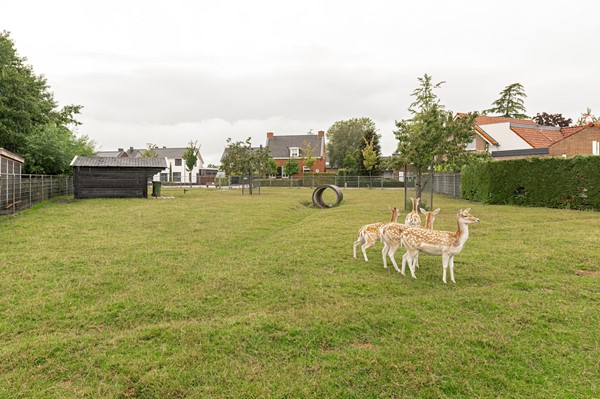 Medium property photo - Dorpsstraat 60A, 4284 EJ Rijswijk (Nb)